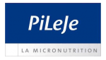 Pileje